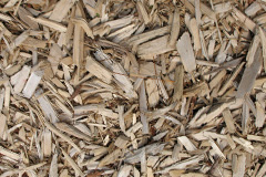 biomass boilers Trewoodloe