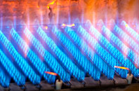 Trewoodloe gas fired boilers