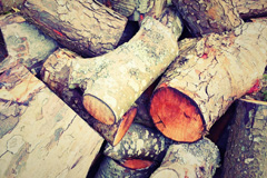 Trewoodloe wood burning boiler costs
